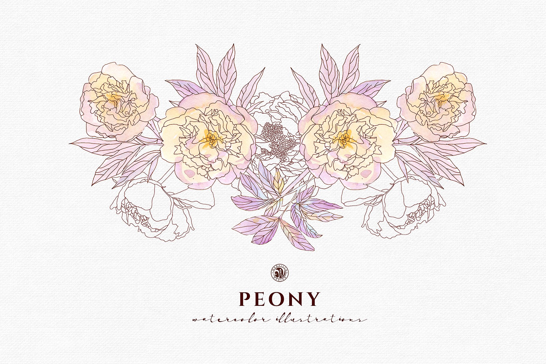 淡雅牡丹花手绘水粉画插画 Peony Flowers插图(7)