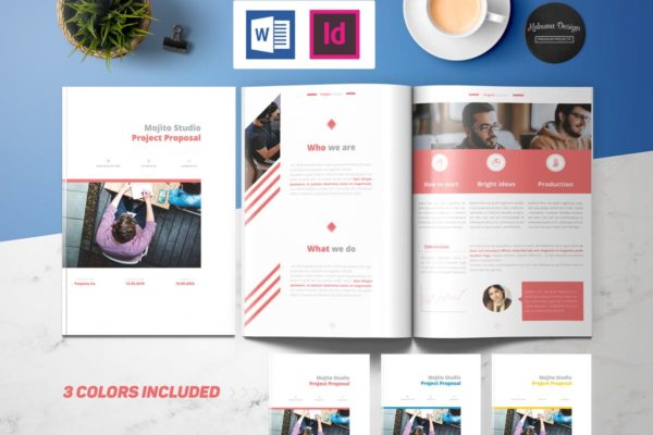 商业项目计划书/提案设计模板 Project Proposal