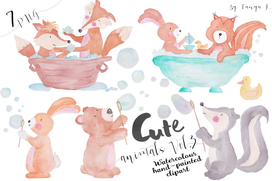 可爱林地动物手绘插画素材v3 Woodland Cute Animals Vol.3插图