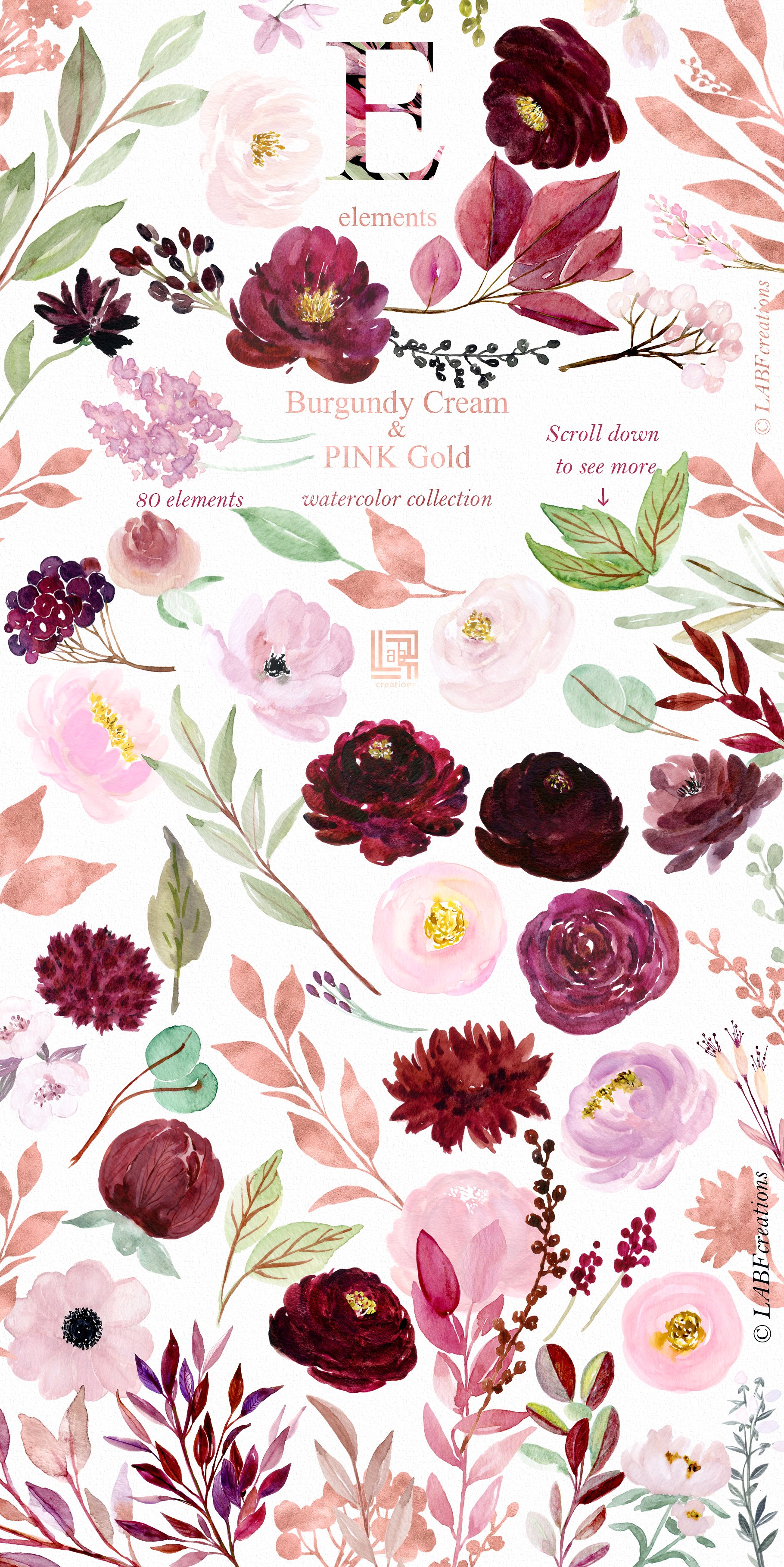 勃艮第奶油和金粉色水彩花卉剪贴画 Burgundy cream & gold pink flowers插图(8)