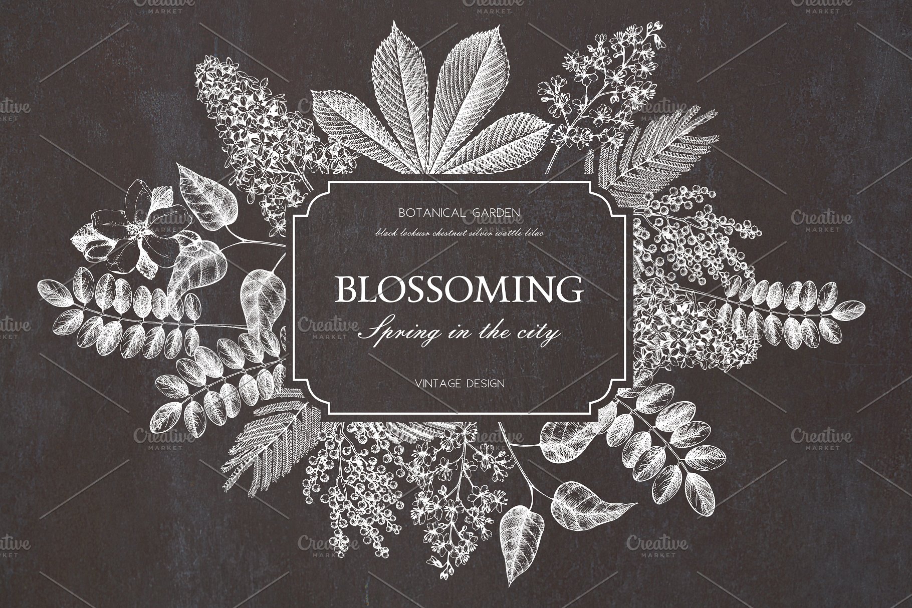 春季树木矢量插画素材 Vector Spring Trees Collection插图(5)