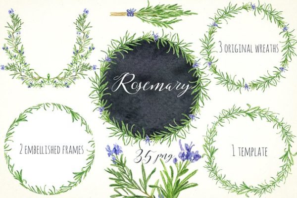 浪漫水彩手绘迷迭香剪贴画合集 Rosemary. Watercolor clip art.