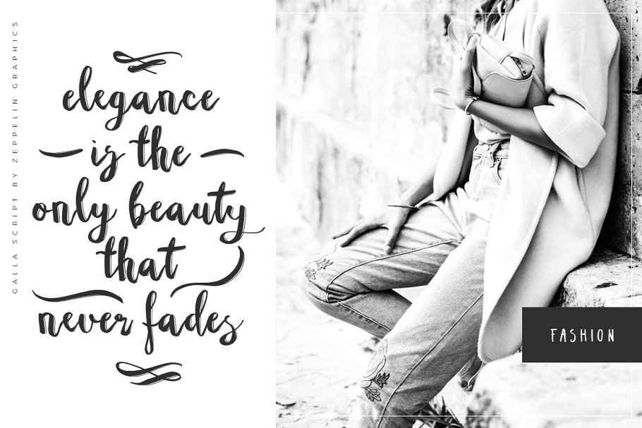 13款手写英文字体合集&Logo模板、矢量插画 Wonderland Fonts Pack & Branding Kit插图(90)