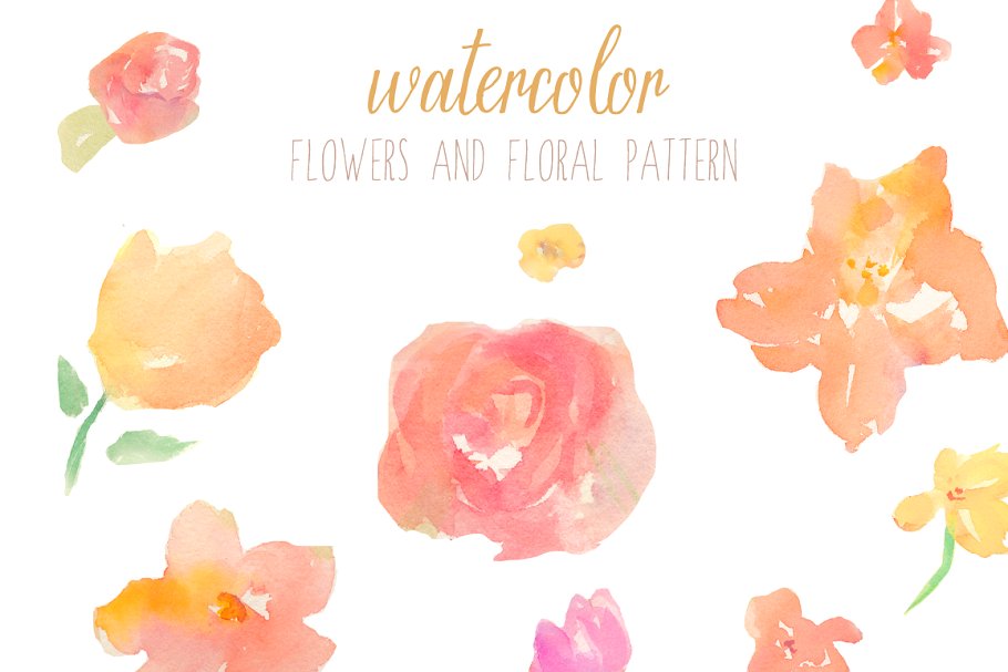 抽象水彩花卉图案背景  Abstract Floral Pattern and Flowers插图