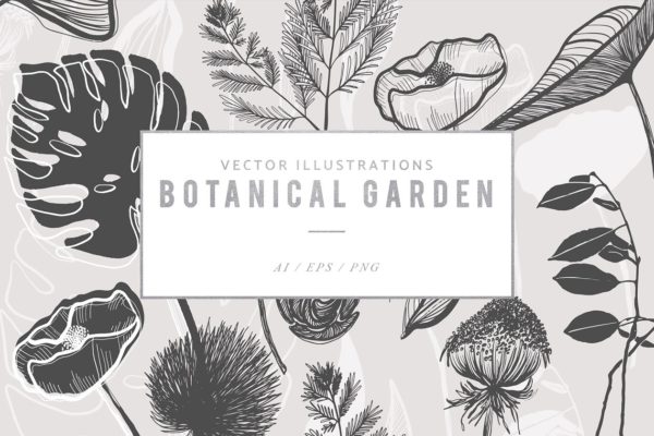 手绘有机植物矢量插图集 Botanical Garden Vector Graphics