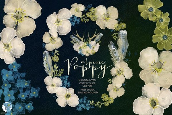 水彩阿尔卑斯罂粟花卉花环 Watercolor wreath alpine poppy dark