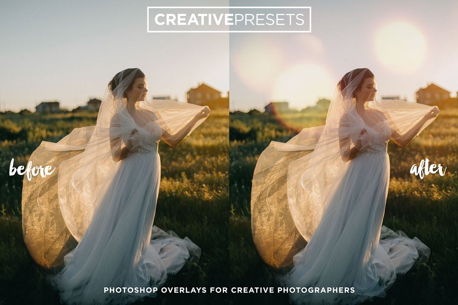 自然散景效果照片叠层背景 Natural Bokeh Overlays插图(2)