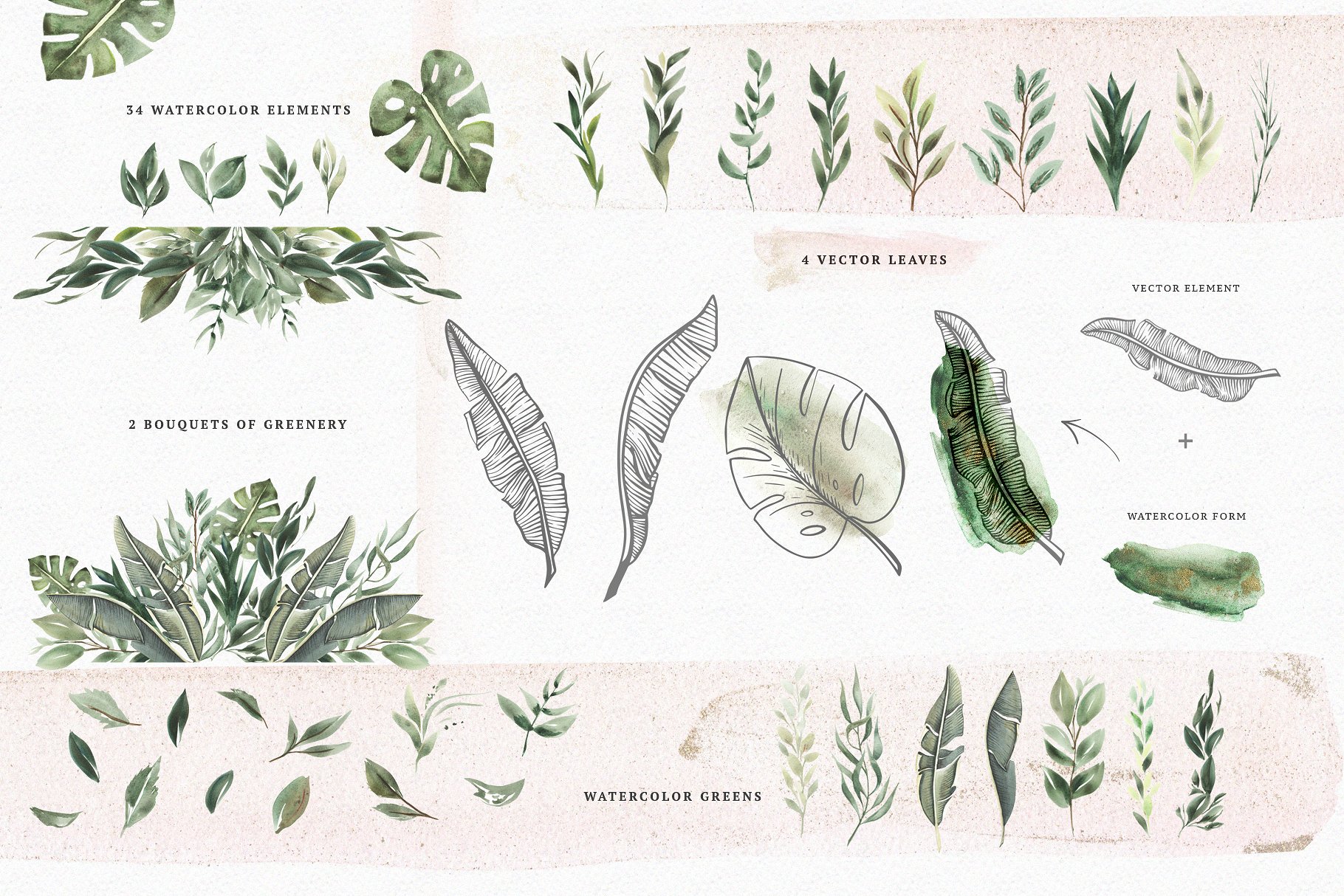 火烈鸟与鲜花矢量水彩插画 Watercolor Flamingo & Flowers插图(8)