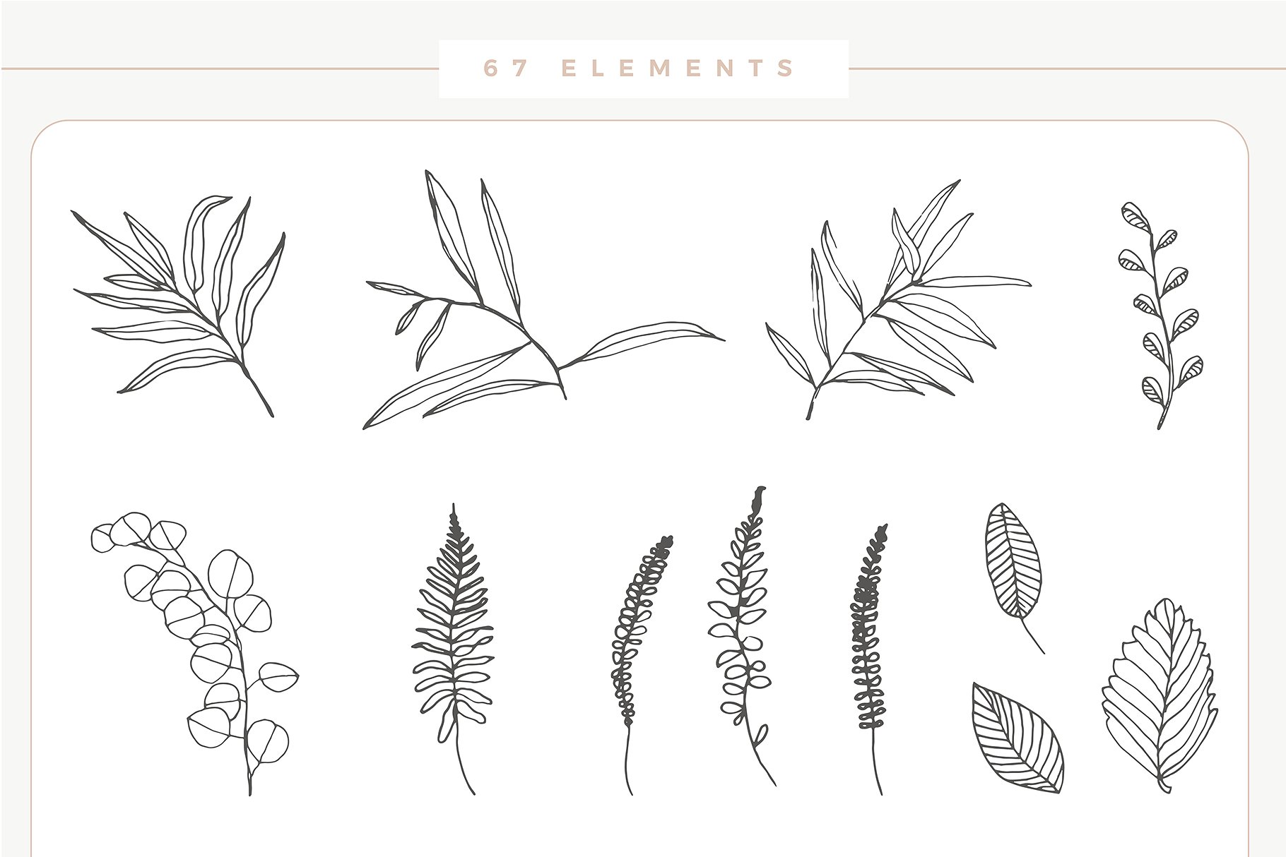 浪漫手绘色彩落叶树枝元素 Hand drawn Leaves Collection插图(5)