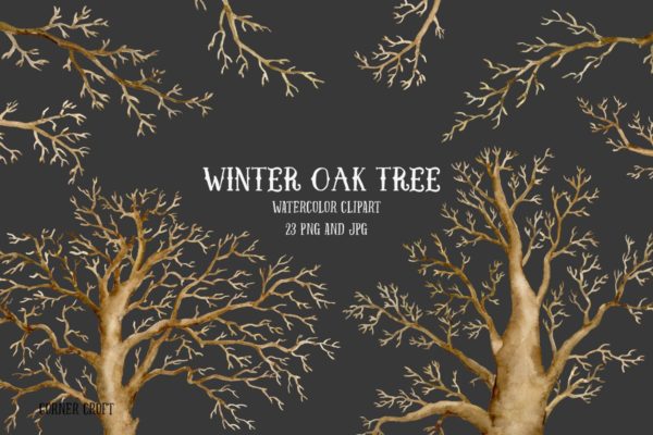 冬季橡树水彩剪贴画合集 Watercolor Clip Art Winter Oak Tree