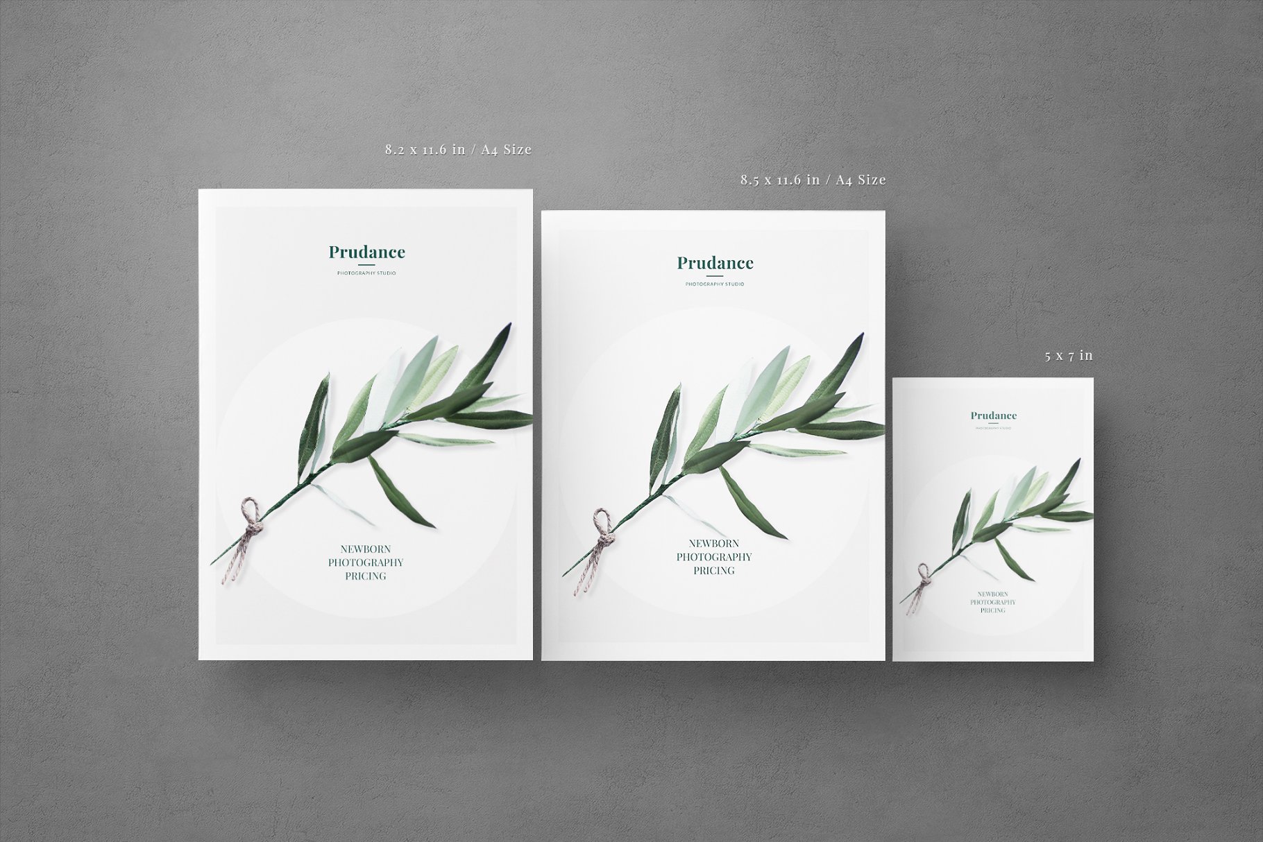 新生婴儿艺术照摄影套餐传单模板 Newborn Pricing Flyer插图(2)