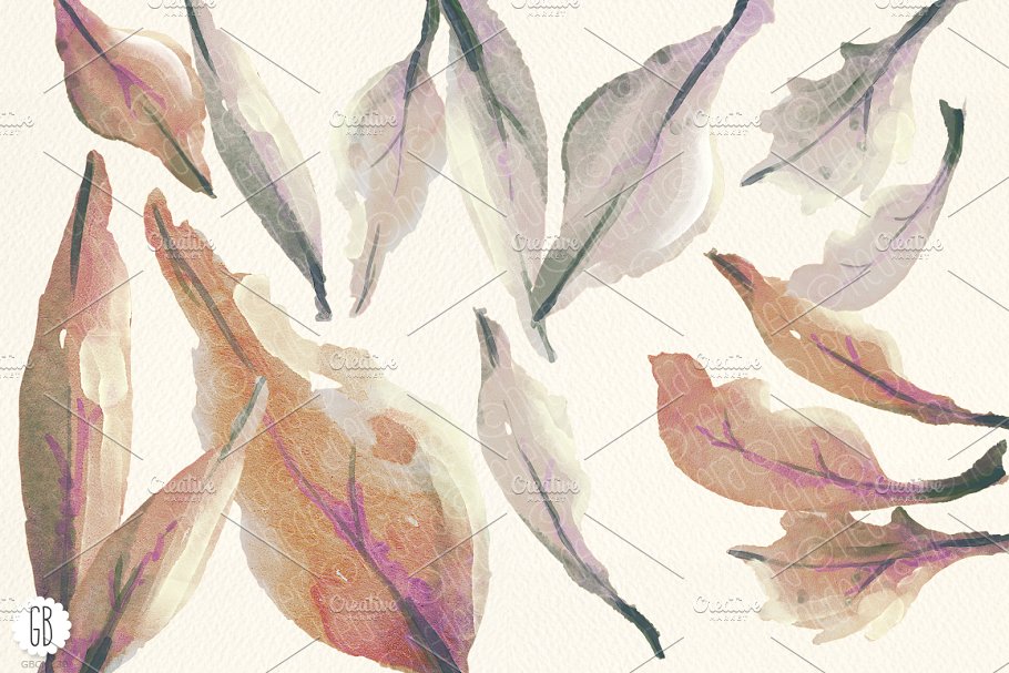 手绘逼真水彩桃花图像花卉设计插画 Aquarelle peach flowers clip art插图(1)