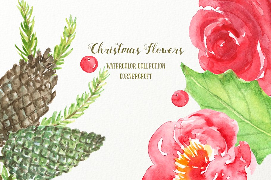 红色圣诞相关主题动植物插画素材 Watercolor Red Christmas插图(4)