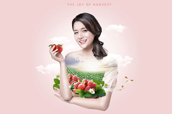 草莓收获双重曝光海报图片psd素材