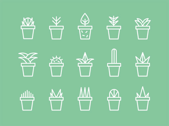 Succulent Icon Set素材之家精选sketch素材