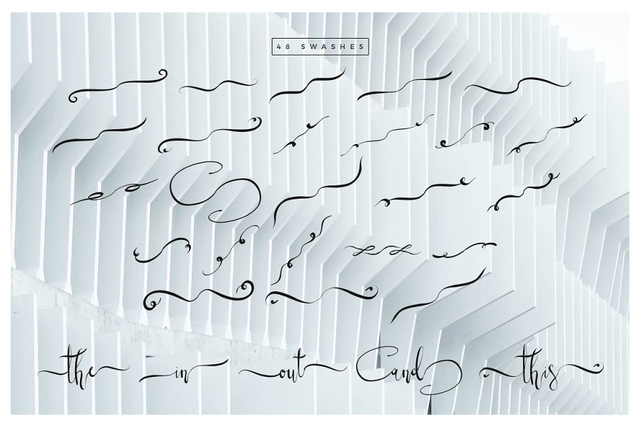 13款手写英文字体合集&Logo模板、矢量插画 Wonderland Fonts Pack & Branding Kit插图(81)