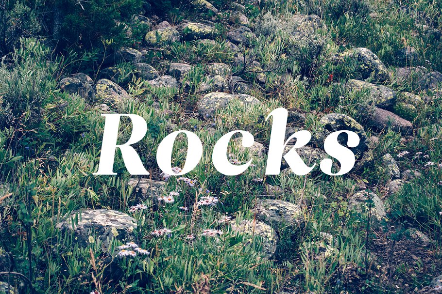 36款地衣苔藓实景纹理 36 Lichen Textures插图(4)