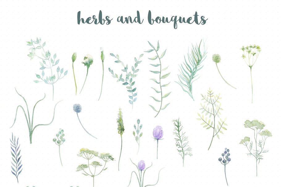 野菜水彩剪贴画 Watercolor Wild Herbs插图(1)