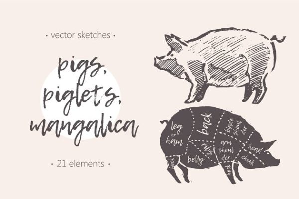 钢笔素描猪图形 Illustrations of pigs, piglets &amp; etc