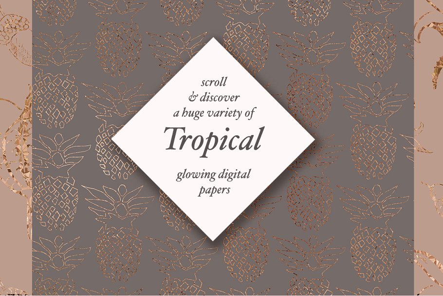 植物与几何图案纹理 Exotic Plants & Geometric Patterns插图(4)