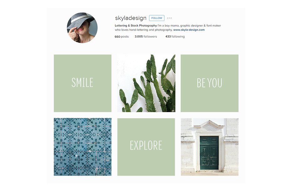 炎炎夏日植物主题场景样机 Summer stock, texture, tiles, plants插图(2)