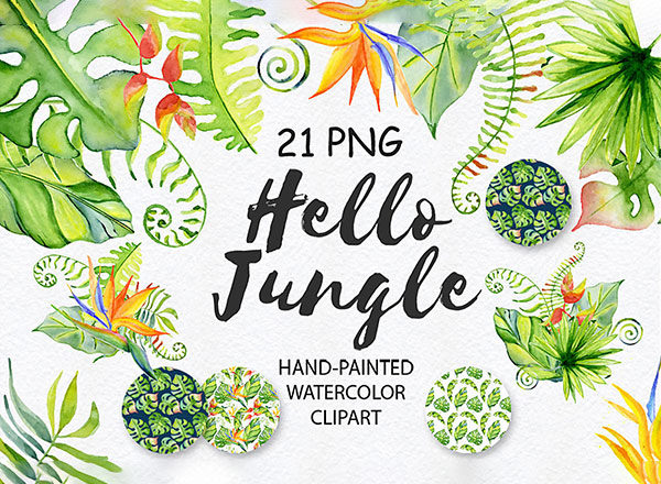 21张高清热带丛林水彩元素美图 Free Tropical Watercolor Bundle