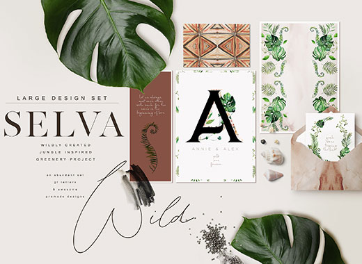 极简充满活力的丛林绿化矢量素材下载 2.05 GB[psd,png,jpeg]