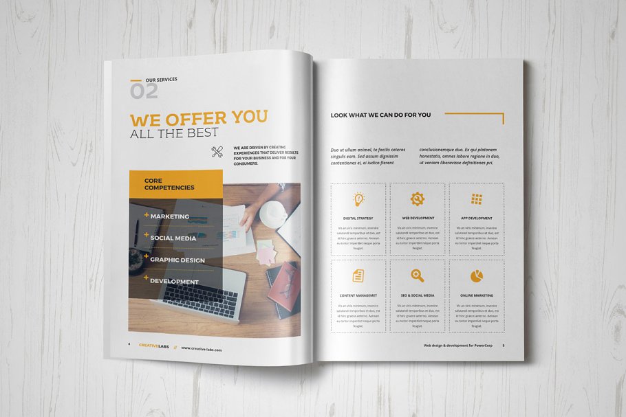 投标企业企宣画册模板 Proposal插图(3)