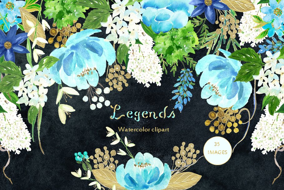 金色和蓝色水彩花卉插画 Gold & ligh blue. Watercolor flowers插图(5)