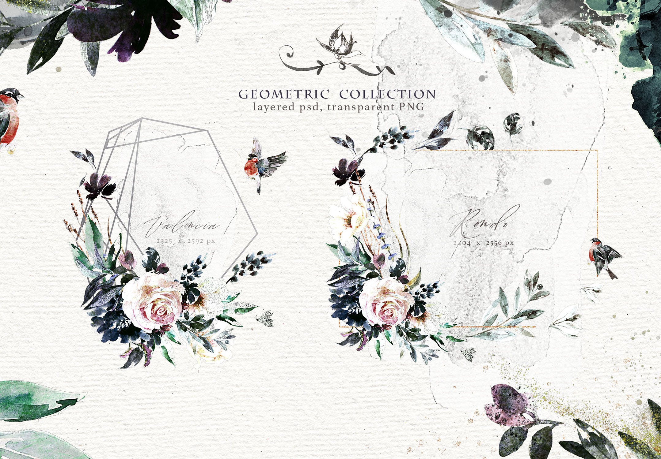 高品质梦幻水彩矢量插画素材大合集[1.88GB] Fantasy illustrations “Once in the dream”插图(2)