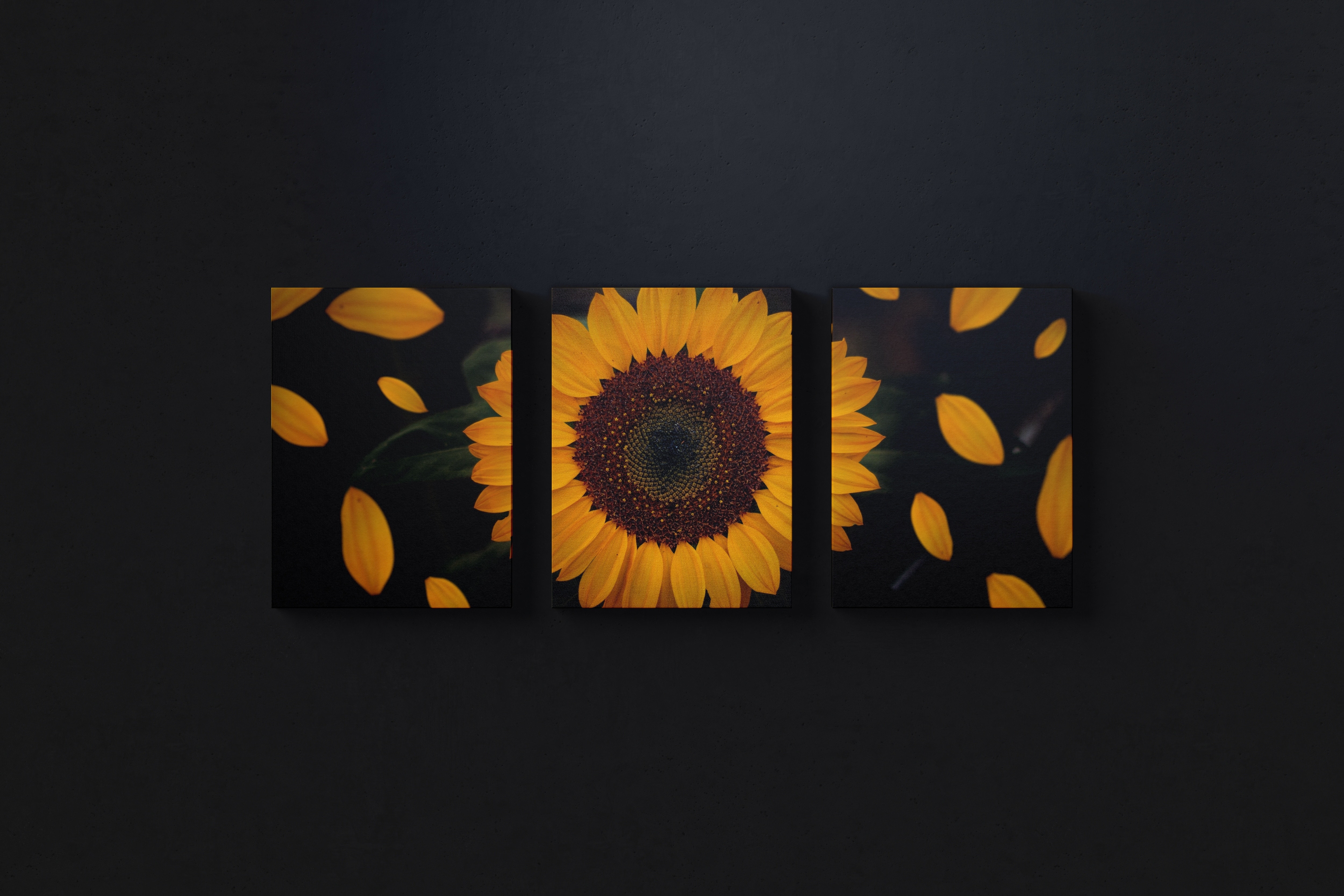 挂墙等距画布画框作品展览效果图前视图样机素材 Three 3:4 Portrait Canvas Mockup Hanging on Wall, Front View插图(2)