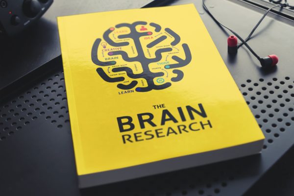 简装软封图书封面设计展示图样机素材库精选 Book Mockup / Soft Cover Edition