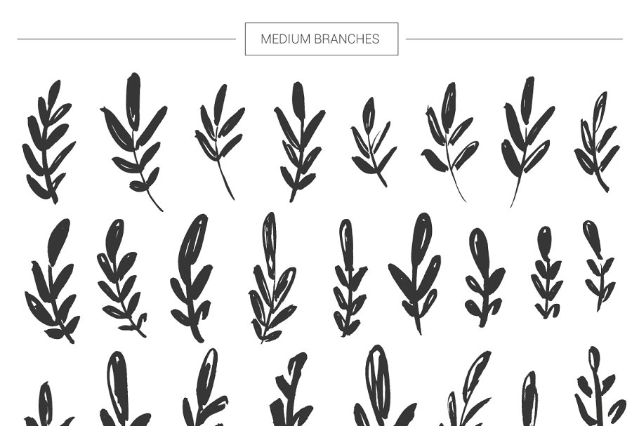 超级手绘花卉&叶子元素大礼包 Floral mega-bundle: 1267 elements插图(10)