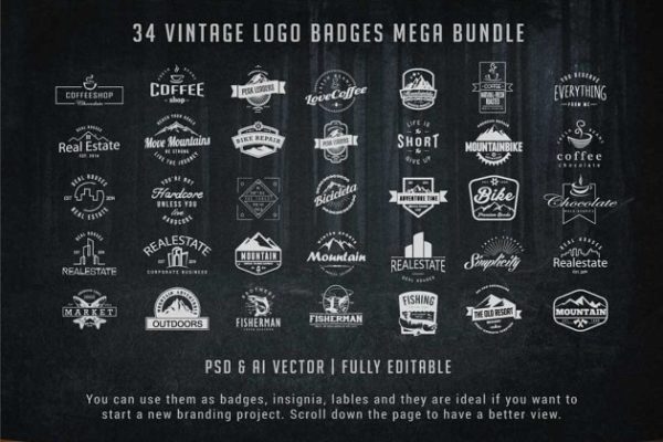 复古徽标徽章Logo模板套装 Vintage Logo Badges Bundle