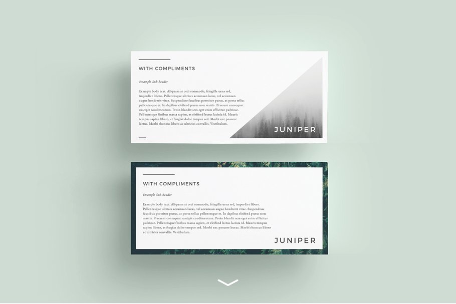 漂亮的多用途信笺模板 J U N I P E R Letterhead + Comps插图(2)