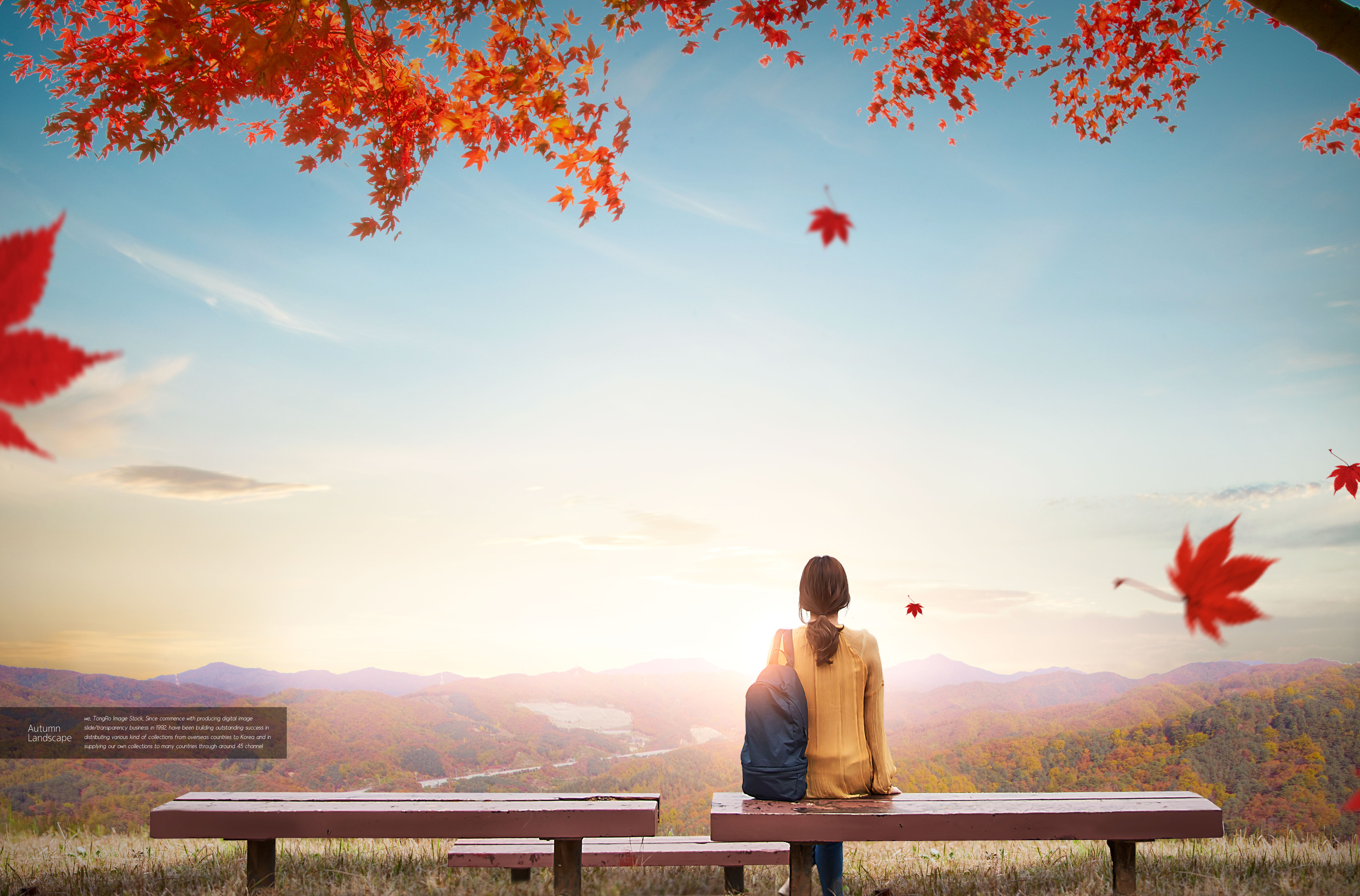 秋季景色旅行主题海报图片素材[PSD]插图(3)