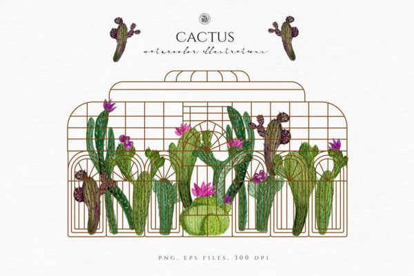 水彩仙人掌插图合集 Cactus watercolor illustrations