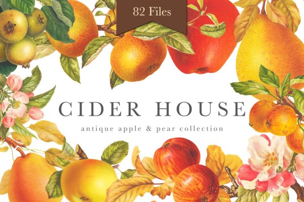旧书水果插画素材集 Cider House Apple &amp; Pear Graphics