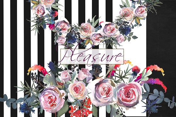 粉红玫瑰/蓝蓟水彩剪贴画 Pink Roses Blue Thistle Clipart插图(8)