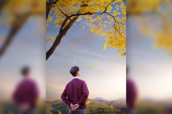 秋天唯美景色图片设计素材