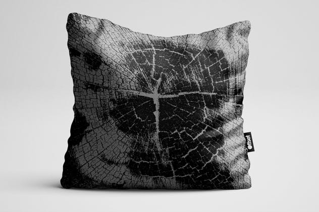 20种横切面木质纹理素材合集 Wooden Block Textures插图(7)