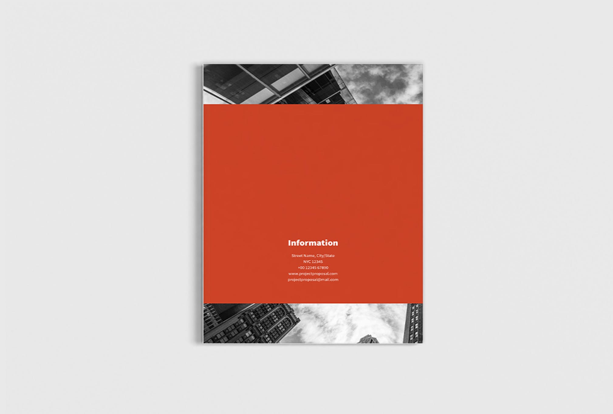 项目商业计划书/项目提案设计模板 The Project Company Profile插图(2)