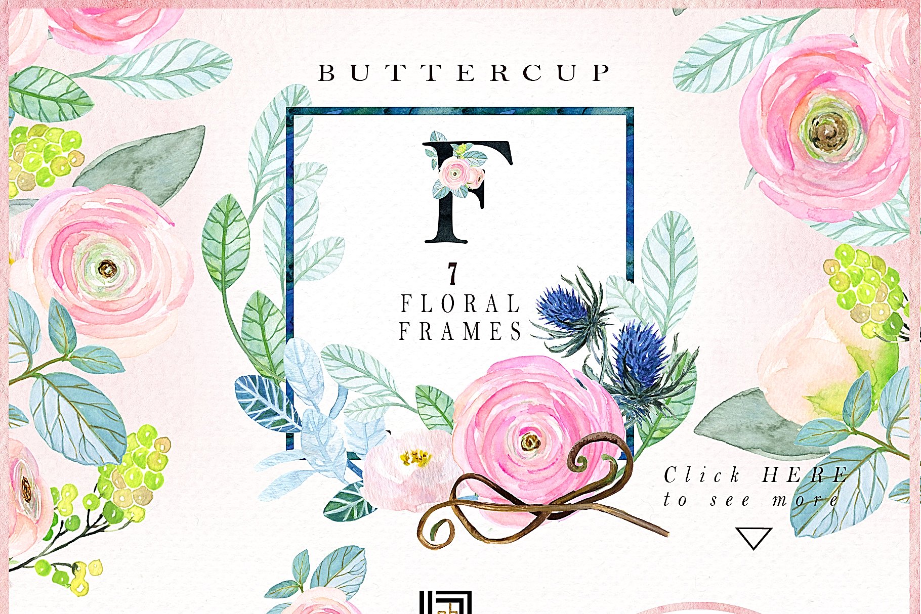 粉红色毛茛属植物水彩剪贴画 Buttercups. Ranunculus soft pink.插图