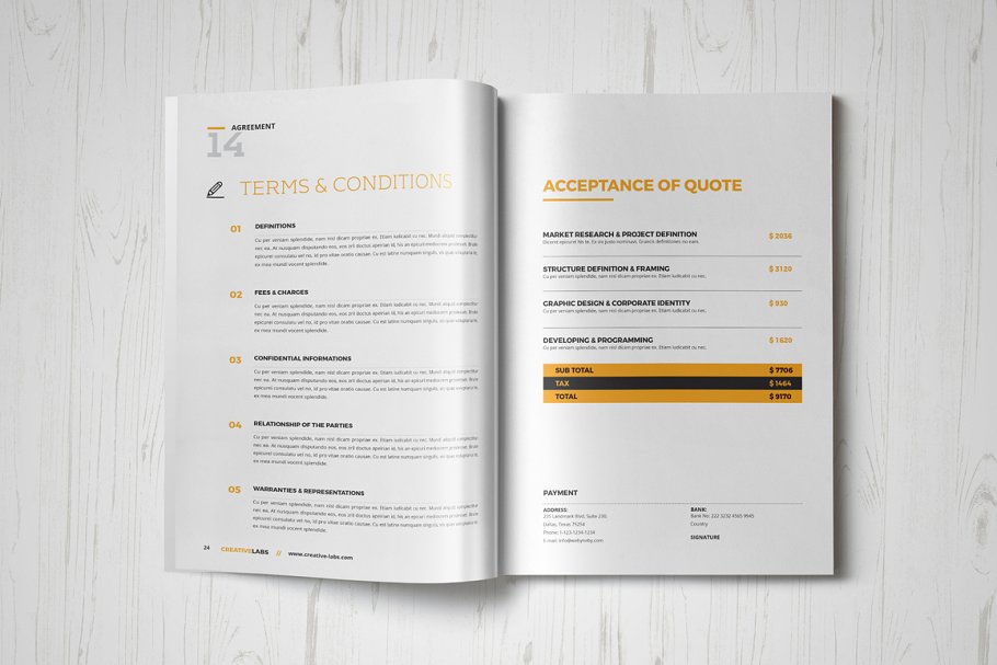 投标企业企宣画册模板 Proposal插图(13)