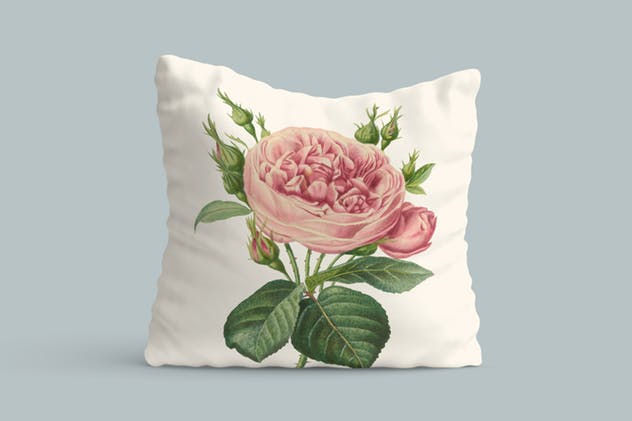 复古花卉矢量插画素材 Vintage Illustrations of Flowers插图(3)