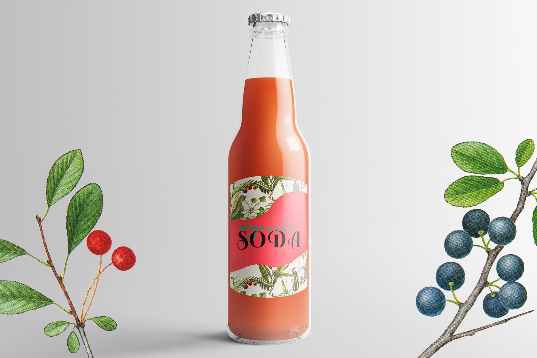 45款植物水彩手绘插画PNG素材 Dryad – Botanical Illustrations插图(6)