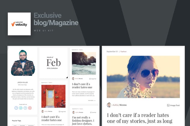 杂志类博客网站设计UI套件 Velocity Bloggers Web UI Kit插图(1)