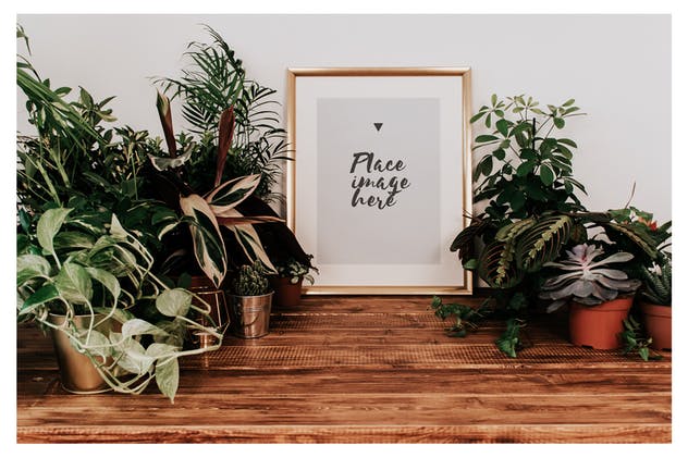盆栽装饰画框样机模板 Frame Mockup Boho Style插图(3)