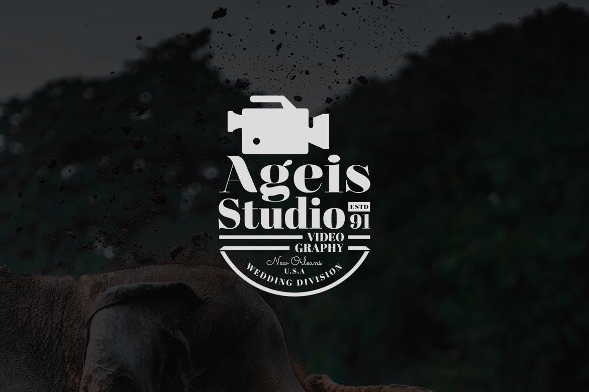 欧美复古设计风格品牌素材库精选LOGO商标模板v7 Vintage Logo & Badge Vol. 7插图(1)