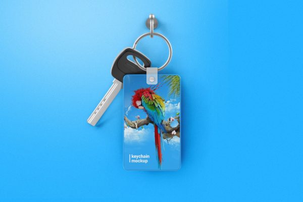 钥匙扣吊牌设计素材库精选模板 Keychain Mockup